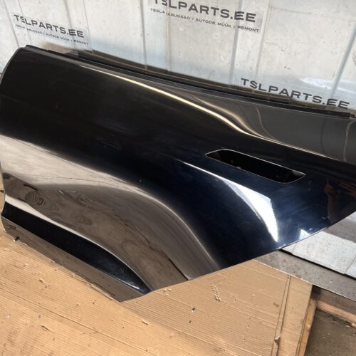 Tesla Model S Rear Door Left